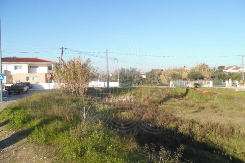 Terra a Condeixa-a-Nova, Coimbra, Condeixa-a-Nova - € 64.500 | Ref: cdx0241 - foto 7