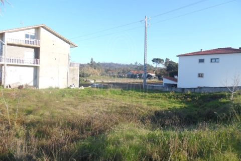 Terra a Condeixa-a-Nova, Coimbra, Condeixa-a-Nova - € 64.500 | Ref: cdx0241 - foto 8