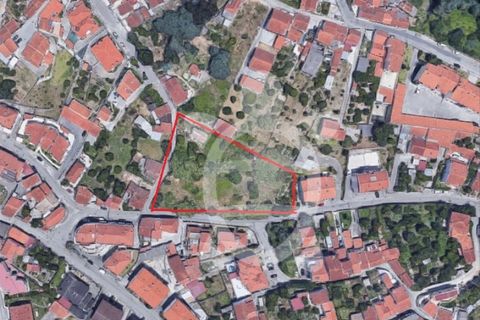Helårsgrund i Coimbra, Coimbra, Coimbra - € 284.500 | Ref: cbr0234 - foto 2