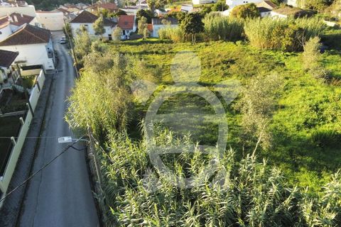 Helårsgrund i Coimbra, Coimbra, Coimbra - € 284.500 | Ref: cbr0234 - foto 4