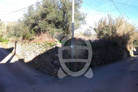 Helårsgrund i Coimbra, Coimbra, Coimbra - € 284.500 | Ref: cbr0234 - foto 9