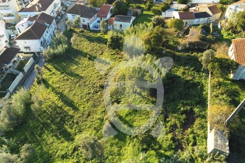 Helårsgrund i Coimbra, Coimbra, Coimbra - € 284.500 | Ref: cbr0234 - foto 10
