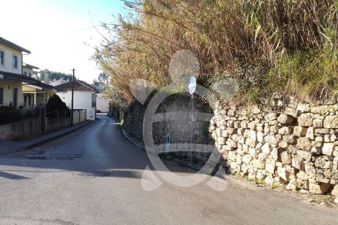 Helårsgrund i Coimbra, Coimbra, Coimbra - € 284.500 | Ref: cbr0234 - foto 11