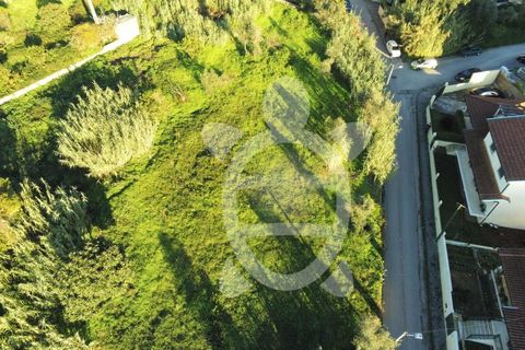 Helårsgrund i Coimbra, Coimbra, Coimbra - € 284.500 | Ref: cbr0234 - foto 12