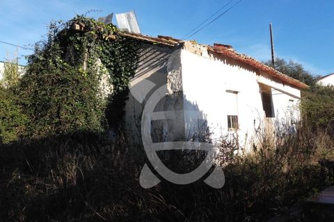 Helårsgrund i Coimbra, Coimbra, Coimbra - € 284.500 | Ref: cbr0234 - foto 15