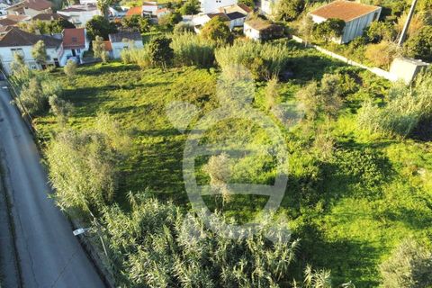 Helårsgrund i Coimbra, Coimbra, Coimbra - € 284.500 | Ref: cbr0234 - foto 16