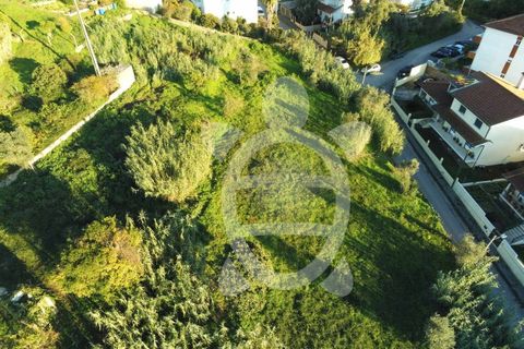 Helårsgrund i Coimbra, Coimbra, Coimbra - € 284.500 | Ref: cbr0234 - foto 17
