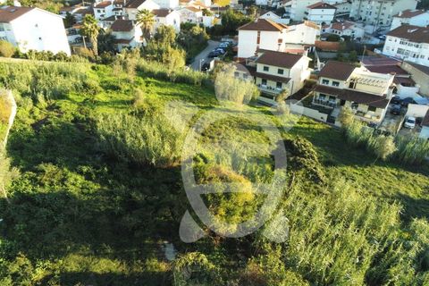 Helårsgrund i Coimbra, Coimbra, Coimbra - € 284.500 | Ref: cbr0234 - foto 22