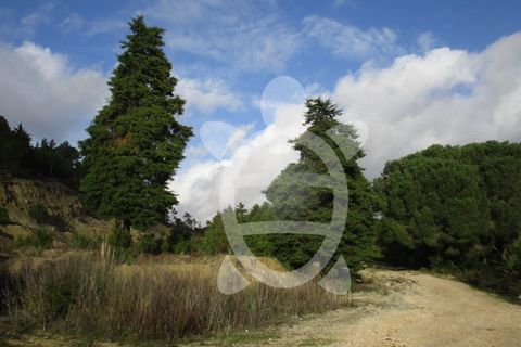 Terra a Cernache, Coimbra, Cernache - € 199.500 | Ref: cbr0226 - foto 3