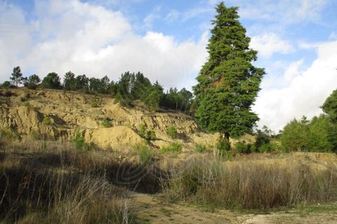Terra a Cernache, Coimbra, Cernache - € 199.500 | Ref: cbr0226 - foto 4