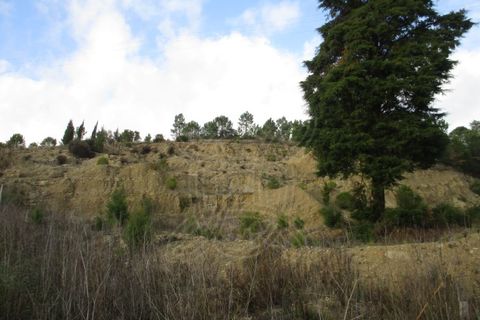 Terra a Cernache, Coimbra, Cernache - € 199.500 | Ref: cbr0226 - foto 5