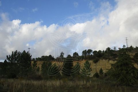 Terra a Cernache, Coimbra, Cernache - € 199.500 | Ref: cbr0226 - foto 6