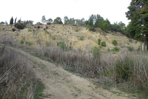 Terra a Cernache, Coimbra, Cernache - € 199.500 | Ref: cbr0226 - foto 9