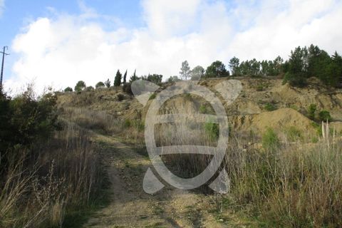 Terra a Cernache, Coimbra, Cernache - € 199.500 | Ref: cbr0226 - foto 10