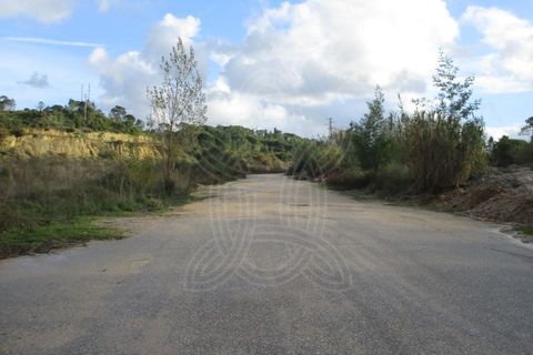 Terra a Cernache, Coimbra, Cernache - € 199.500 | Ref: cbr0226 - foto 12