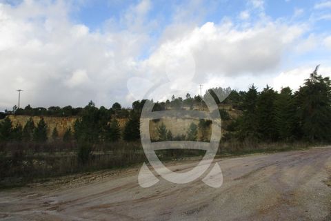 Terra a Cernache, Coimbra, Cernache - € 199.500 | Ref: cbr0226 - foto 13