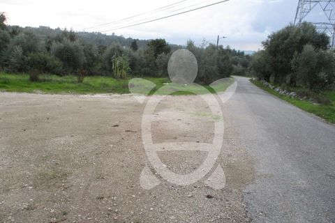 Helårsgrund i Coimbra, Coimbra, Coimbra - € 24.000 | Ref: cdx0270 - foto 1