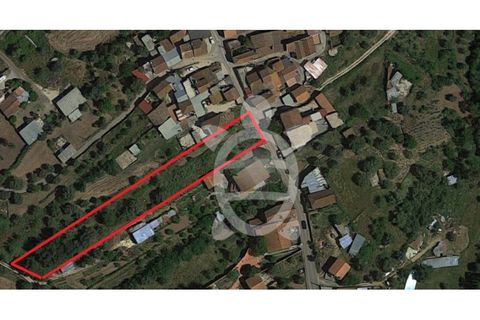 Helårsgrund i Coimbra, Coimbra, Coimbra - € 24.000 | Ref: cdx0270 - foto 2