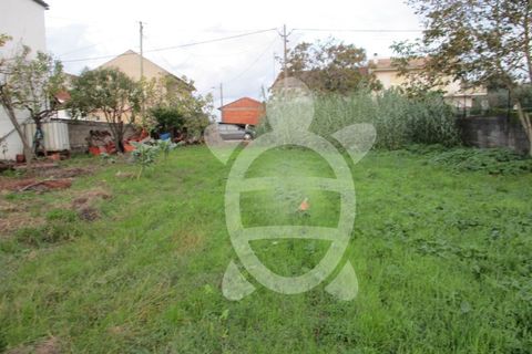 Helårsgrund i Coimbra, Coimbra, Coimbra - € 24.000 | Ref: cdx0270 - foto 3