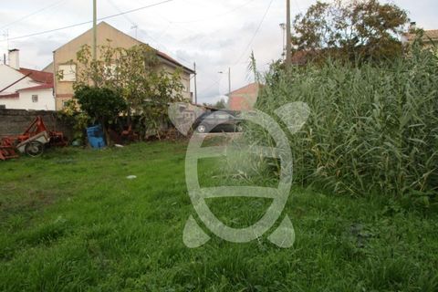 Helårsgrund i Coimbra, Coimbra, Coimbra - € 24.000 | Ref: cdx0270 - foto 4