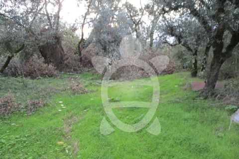 Helårsgrund i Coimbra, Coimbra, Coimbra - € 24.000 | Ref: cdx0270 - foto 7