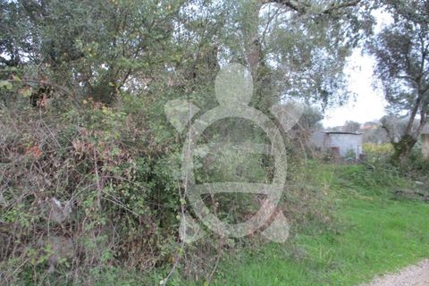 Helårsgrund i Coimbra, Coimbra, Coimbra - € 24.000 | Ref: cdx0270 - foto 10