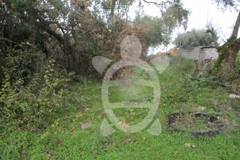 Helårsgrund i Coimbra, Coimbra, Coimbra - € 24.000 | Ref: cdx0270 - foto 12