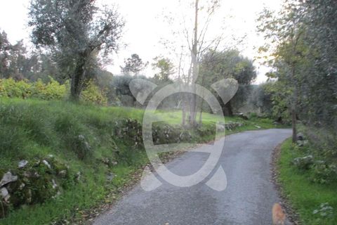 Helårsgrund i Coimbra, Coimbra, Coimbra - € 24.000 | Ref: cdx0270 - foto 15