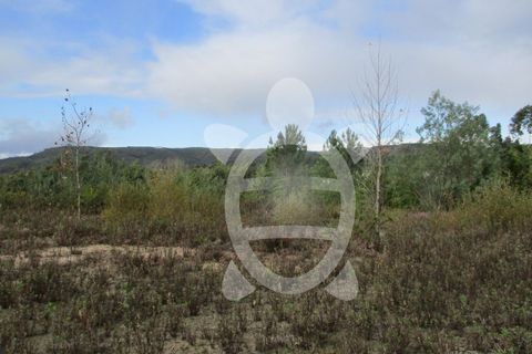 Helårsgrund i Miranda do Corvo, Coimbra, Miranda do Corvo - € 72.500 | Ref: cbr1794 - foto 1