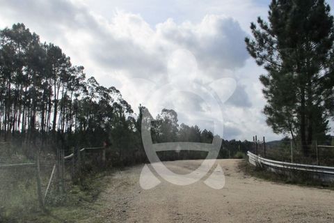 Helårsgrund i Miranda do Corvo, Coimbra, Miranda do Corvo - € 72.500 | Ref: cbr1794 - foto 3
