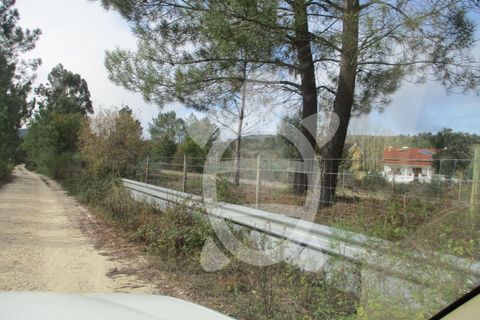 Helårsgrund i Miranda do Corvo, Coimbra, Miranda do Corvo - € 72.500 | Ref: cbr1794 - foto 6