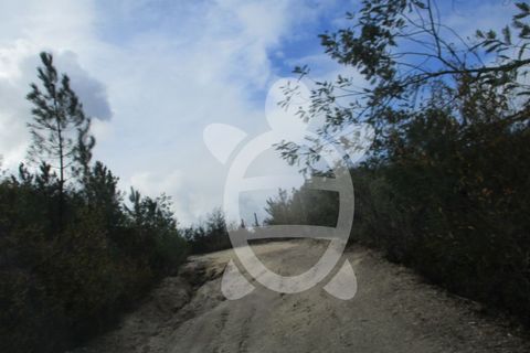 Helårsgrund i Miranda do Corvo, Coimbra, Miranda do Corvo - € 72.500 | Ref: cbr1794 - foto 8
