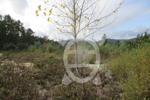 Helårsgrund i Miranda do Corvo, Coimbra, Miranda do Corvo - € 72.500 | Ref: cbr1794 - foto 11