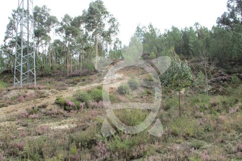 Helårsgrund i Miranda do Corvo, Coimbra, Miranda do Corvo - € 72.500 | Ref: cbr1794 - foto 14