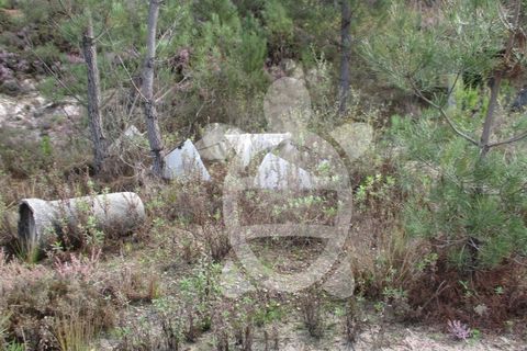 Helårsgrund i Miranda do Corvo, Coimbra, Miranda do Corvo - € 72.500 | Ref: cbr1794 - foto 15