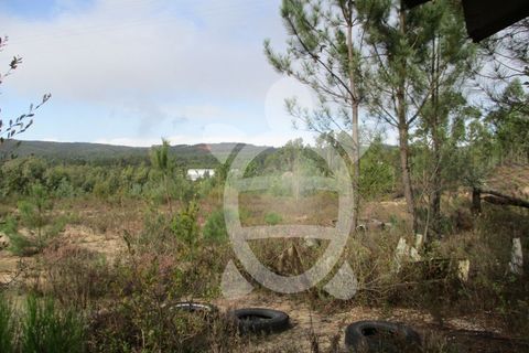 Helårsgrund i Miranda do Corvo, Coimbra, Miranda do Corvo - € 72.500 | Ref: cbr1794 - foto 16