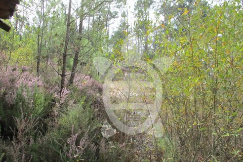 Helårsgrund i Miranda do Corvo, Coimbra, Miranda do Corvo - € 72.500 | Ref: cbr1794 - foto 17