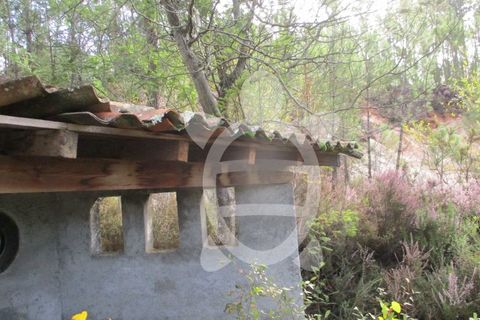 Helårsgrund i Miranda do Corvo, Coimbra, Miranda do Corvo - € 72.500 | Ref: cbr1794 - foto 18