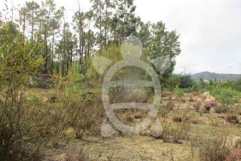 Helårsgrund i Miranda do Corvo, Coimbra, Miranda do Corvo - € 72.500 | Ref: cbr1794 - foto 19