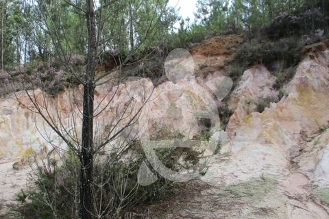 Helårsgrund i Miranda do Corvo, Coimbra, Miranda do Corvo - € 72.500 | Ref: cbr1794 - foto 21