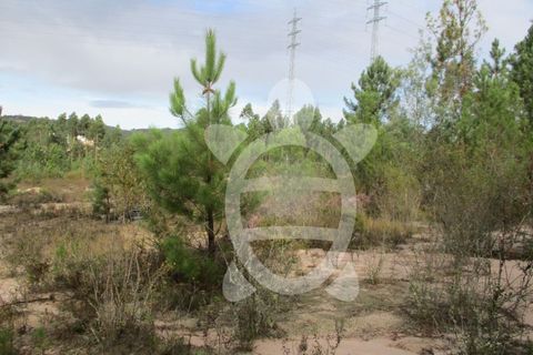 Helårsgrund i Miranda do Corvo, Coimbra, Miranda do Corvo - € 72.500 | Ref: cbr1794 - foto 23