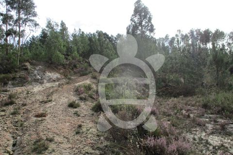 Helårsgrund i Miranda do Corvo, Coimbra, Miranda do Corvo - € 72.500 | Ref: cbr1794 - foto 26