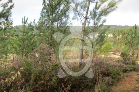 Helårsgrund i Miranda do Corvo, Coimbra, Miranda do Corvo - € 72.500 | Ref: cbr1794 - foto 27