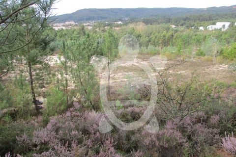 Helårsgrund i Miranda do Corvo, Coimbra, Miranda do Corvo - € 72.500 | Ref: cbr1794 - foto 30