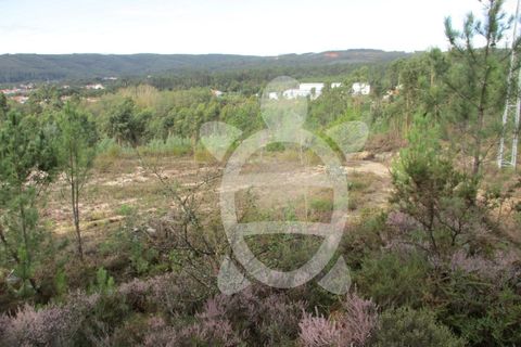 Helårsgrund i Miranda do Corvo, Coimbra, Miranda do Corvo - € 72.500 | Ref: cbr1794 - foto 31