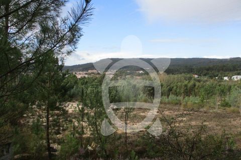 Helårsgrund i Miranda do Corvo, Coimbra, Miranda do Corvo - € 72.500 | Ref: cbr1794 - foto 33