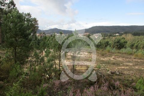 Helårsgrund i Miranda do Corvo, Coimbra, Miranda do Corvo - € 72.500 | Ref: cbr1794 - foto 34