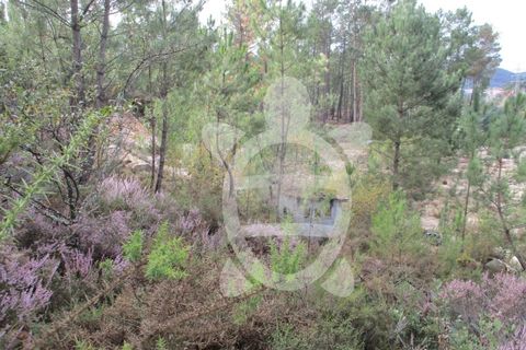 Helårsgrund i Miranda do Corvo, Coimbra, Miranda do Corvo - € 72.500 | Ref: cbr1794 - foto 35