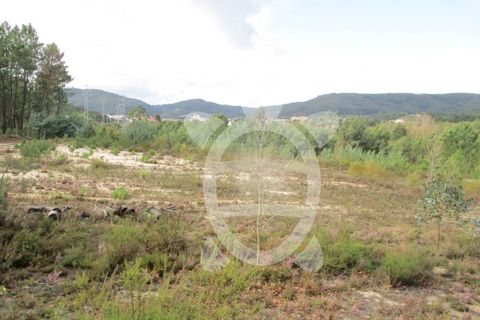 Helårsgrund i Miranda do Corvo, Coimbra, Miranda do Corvo - € 72.500 | Ref: cbr1794 - foto 37