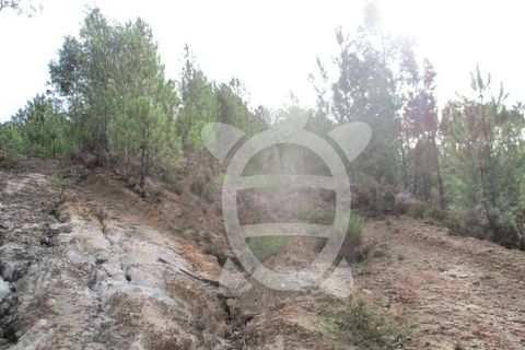 Helårsgrund i Miranda do Corvo, Coimbra, Miranda do Corvo - € 72.500 | Ref: cbr1794 - foto 38